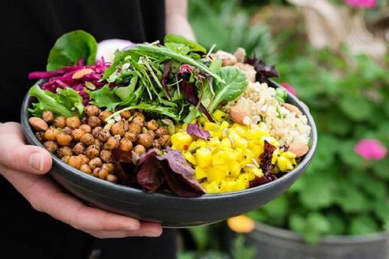 Plant-Based Diets: A Beginner's Guide to Making the Switch
