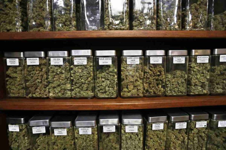 Weed Dispensary Shopping for Beginners