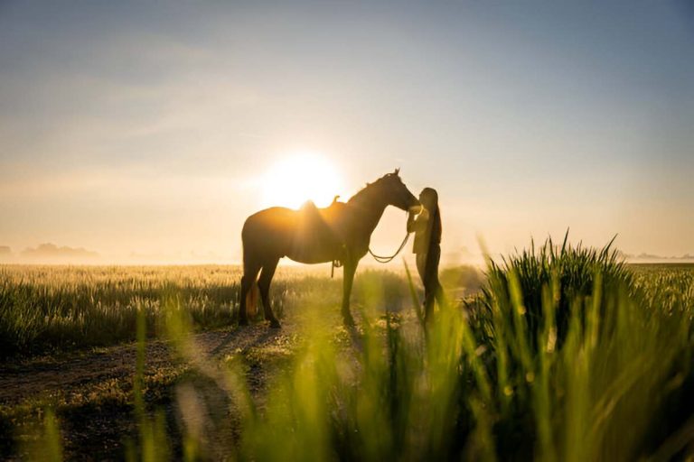 sonhar com cavalo